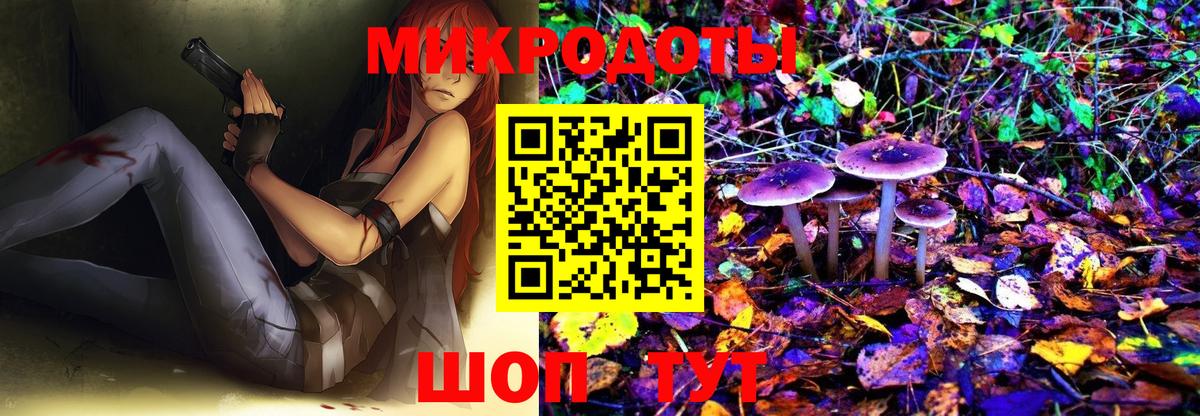 Галлюциногенные грибы MAGIC MUSHROOMS  Галлюциногенные грибы Psilocybe  Добрянка  Вход с VPN 